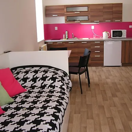 Apartment Trebon Room photo