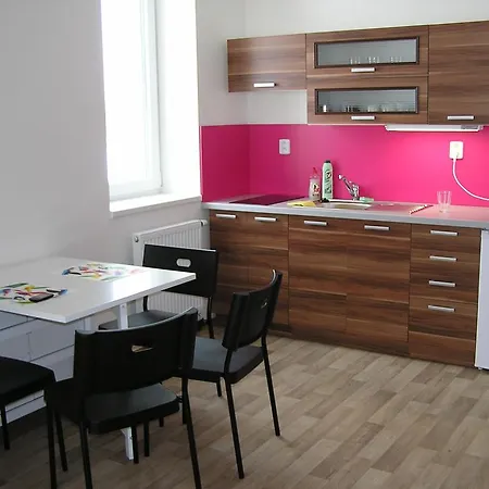 Apartment Trebon Room photo
