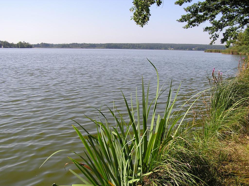 公寓 Apartment Trebon Třeboň