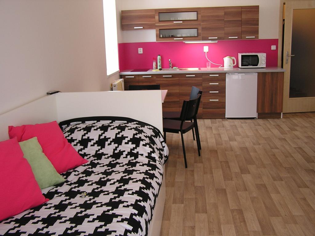 Apartment Apartment Trebon