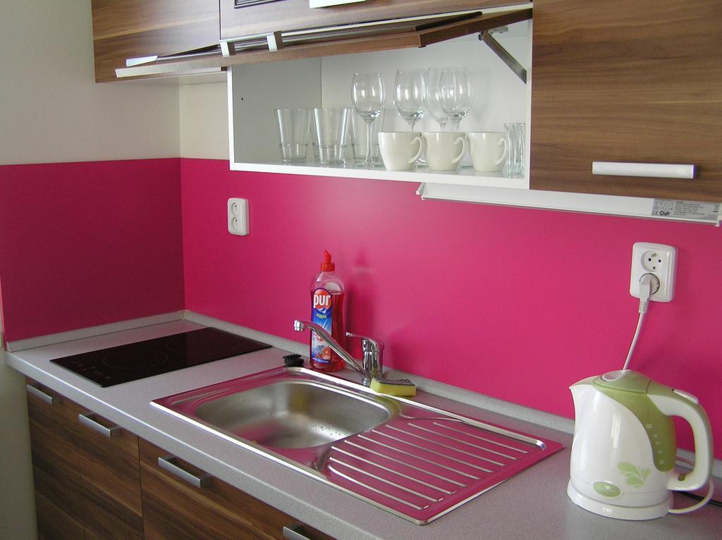 Apartment Trebon 公寓 *